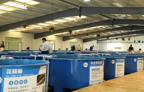 首屆廣東漁業種博會 沒想到你是這樣的博覽會！